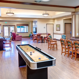 game room with shuffle board table, and chairs
