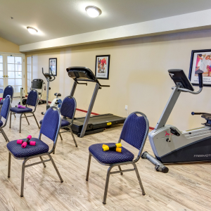 gym with bicycle, treadmill, chairs and weights